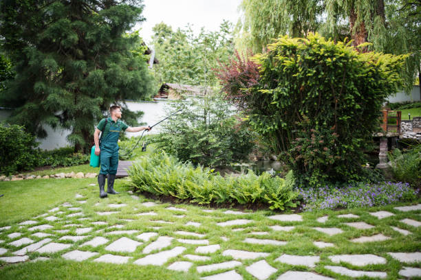 Best Insect Control  in Flatwoods, KY