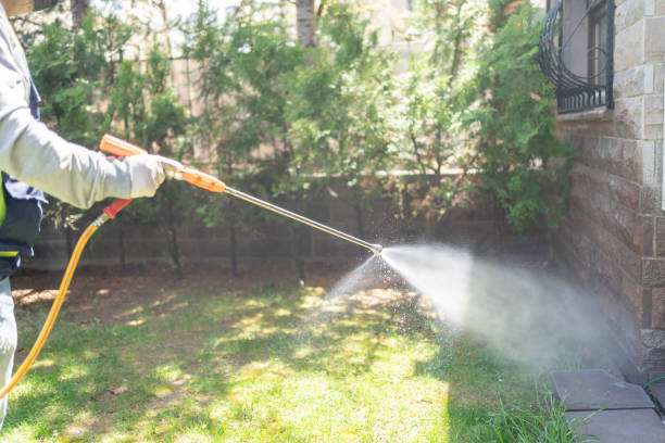 Best Spider Control Near Me  in Flatwoods, KY