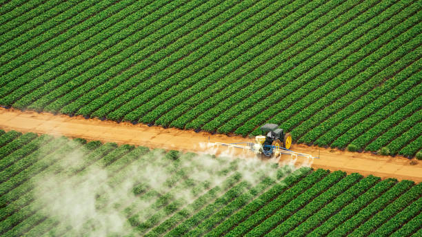 Best Pest Inspection Near Me  in Flatwoods, KY