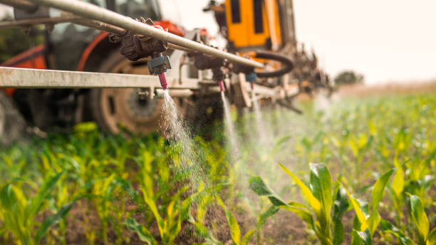 Best Pest Removal Services  in Flatwoods, KY