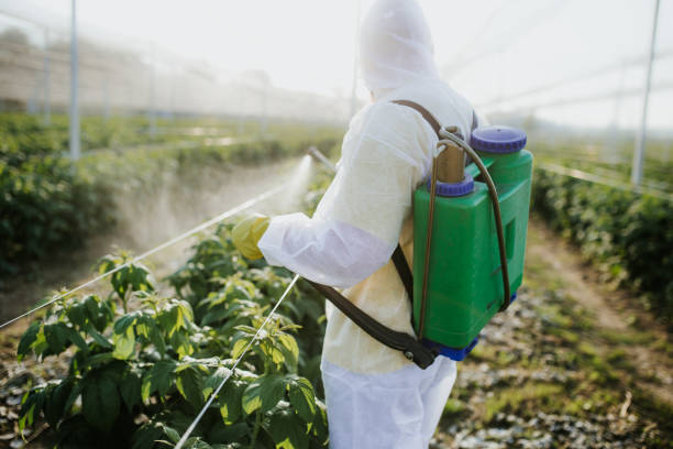 Best Exterminator Services  in Flatwoods, KY